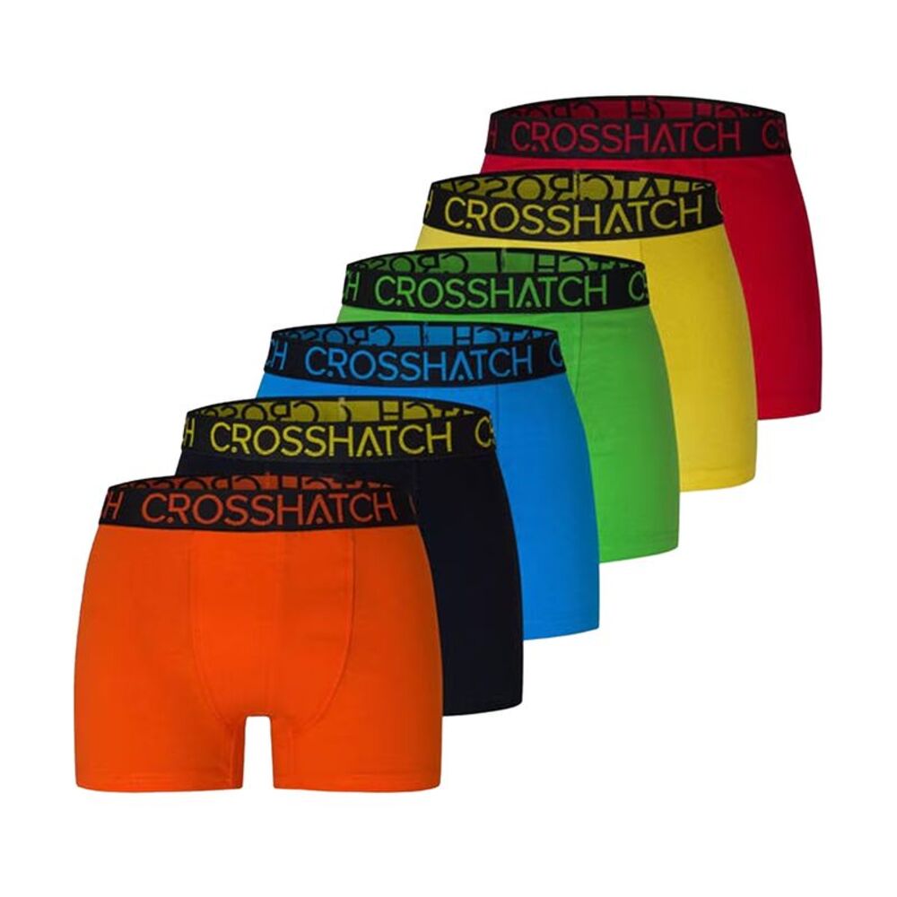 Crosshatch Mens Fresh Boxer Briefs (Pack of 12) / Multicolored